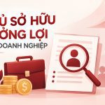 HƯỚNG DẪN XÁC ĐỊNH CHỦ SỞ HỮU HƯỞNG LỢI CỦA DOANH NGHIỆP
