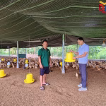 Nông thôn mới Quảng Ninh trên hành trình mới